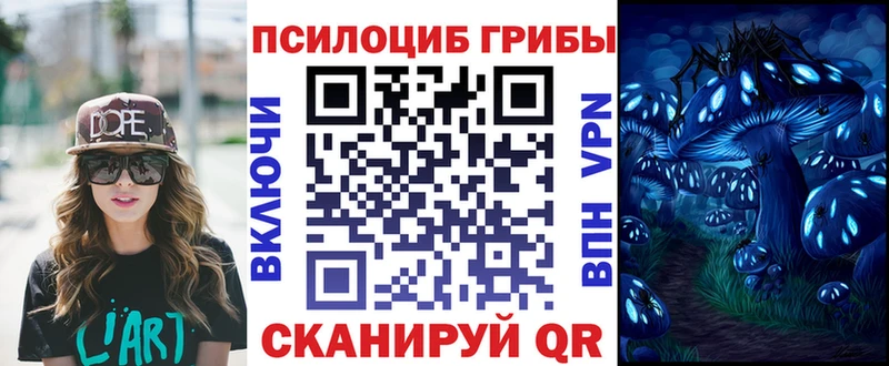 Псилоцибиновые грибы мицелий  цены   Заполярный 